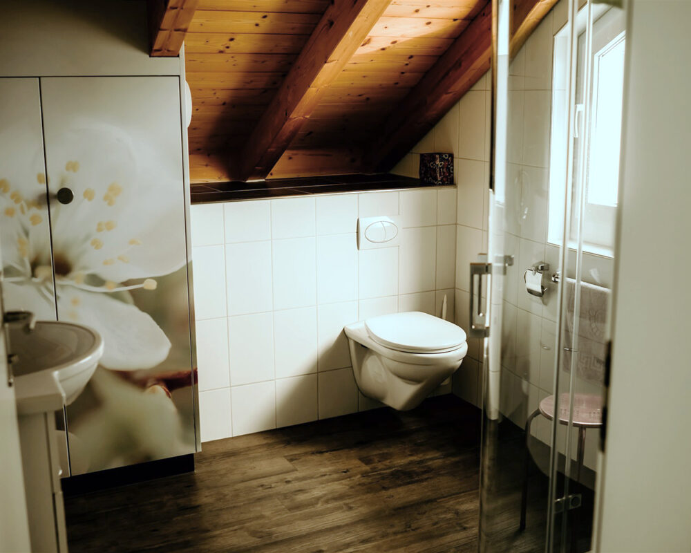 Ansicht eines Badezimmers mit Toilette und Dusche